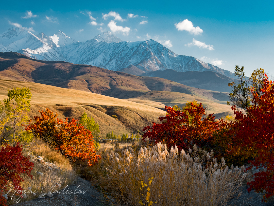Осенние краски