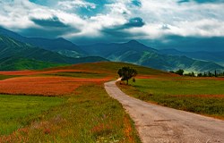 Тропа среди лугов